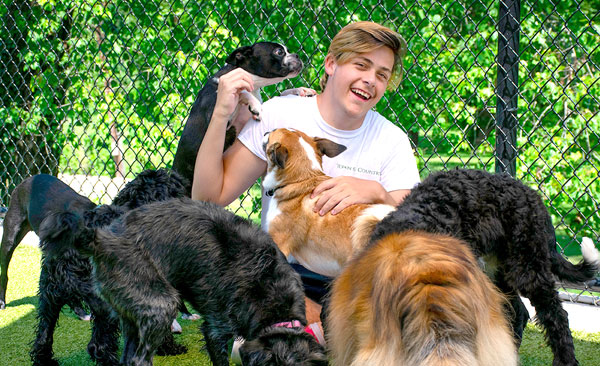 Dog Daycare in Langhorne, PA- Town & Country Pet Care Center