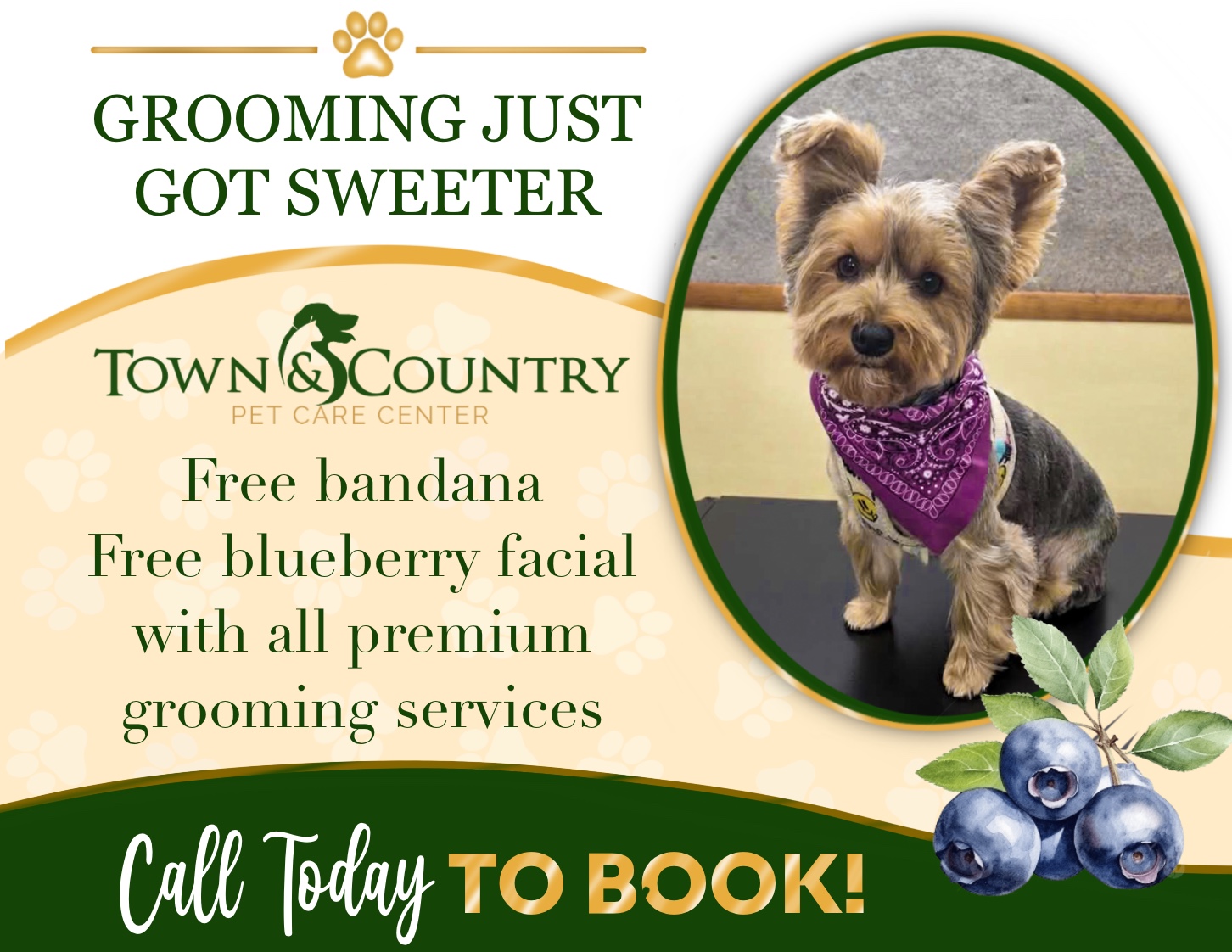 Grooming Pop-Up